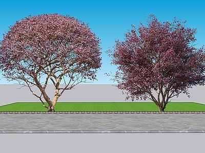 现代主义灌木 2D植物 红花檵木景观树 园林 绿植 绿化