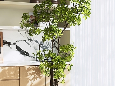 原木风盆栽 盆栽植物 厨房绿植 落地盆栽 室内装饰 遮光窗帘