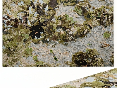 自然风地毯 自然风森系地毯 方形地毯艺术地毯 立体剪花羊毛地毯 酒店客厅茶室地毯 现代简约地毯
