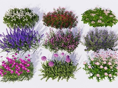 现代主义花草 花卉花草花境植物 花卉植物花海景观 花草植物组合大全 花境植物配置花草 景观植物花草