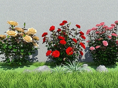 现代主义花草 月季花 月季玫瑰花卉 月季花卉组合 景观花卉花草 3D月季花卉花草