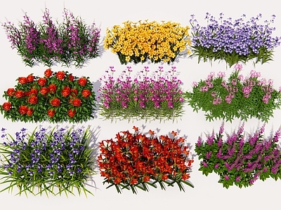 现代花草 花卉花草花境植物 花卉植物景观组合 花草植物景观组合 花卉花草种植景观 景观植物花卉花境