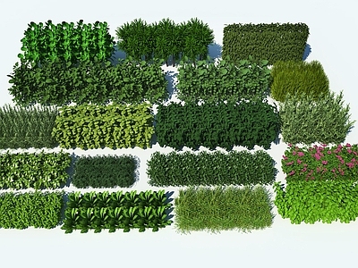极简植物组合 绿篱绿植修剪绿篱 绿篱植物景观 绿篱植物组合 农作物庄稼植物 菜园菜苗农作物