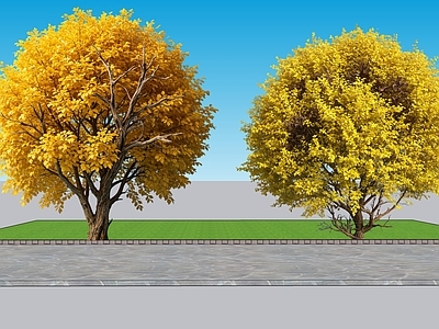 极简乔木 2D植物 金叶榆景观树 园林 绿化 绿植