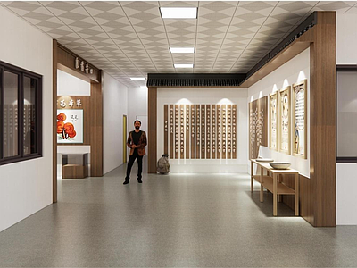 文化展厅 中学中医文化展厅 新中式