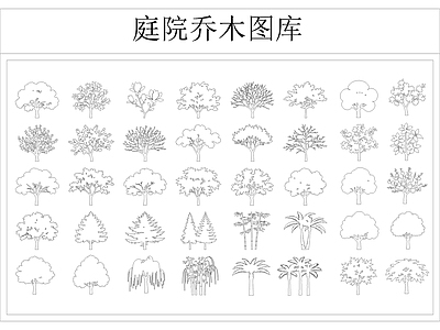 乔木种植