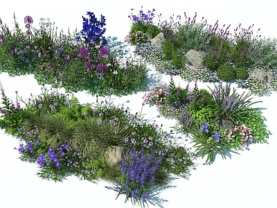 现代主义花境 花草花卉景观植物 花境植物花卉景观 花卉花草花海花境 花卉种植景观 花草薰衣草雏菊