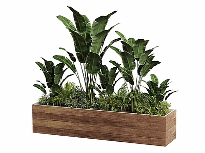 现代花箱 现代景观绿植 绿植池 绿植组合 花草组合