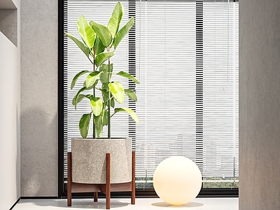 中古风盆栽 现代绿植盆栽