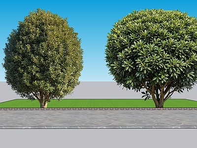 现代主义灌木 2D植物 珊瑚树景观树 园林 绿化 绿植