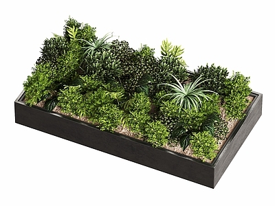 现代简约植物组合 现代景观绿植 绿植池 植物组合 户外绿植组合