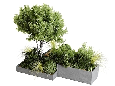 现代植物组合 现代植物组合 景观绿植 绿植池 庭院绿植 户外植物组合