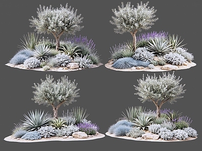 地中海景观花境 2D植物组合 花卉花镜 花草镜植物组合 花草花丛 地被花灌木球