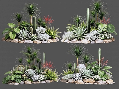 现代主义沙漠植物 2D仙人掌组 多肉植物 仙人球 沙漠植物造景 景观植物