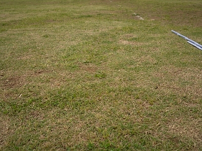 侘寂其他地面 4K户外草坪场景