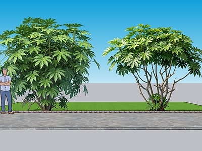 现代主义灌木 2D植物 八角金盘景观树 园林 绿化 绿植