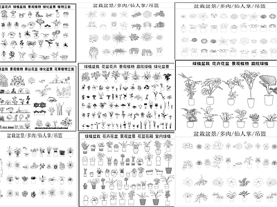 综合植物图库 盆栽图库 盆栽素材 盆景素材 花盆素材