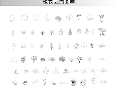 综合植物图库 植物立面图库