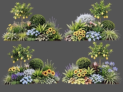 现代主义花境 2D植物组合 花卉花镜 花草镜植物组合 花草花丛 地被花灌木球