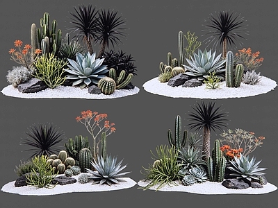 现代主义沙漠植物 2D仙人掌 多肉植物 仙人球 沙漠植物造景 景观植物