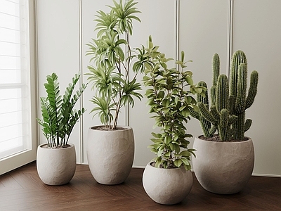 现代简约植物组合 现代盆栽摆件 盆栽盆景 绿植摆件 客厅盆栽