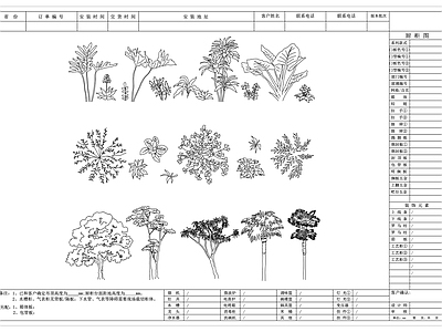 其他图库 树木植物图集 园林苗木合集 绿化花木素材 庭院植被图集 林木花卉合集