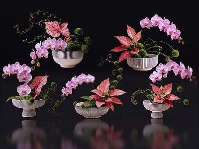 日式花境 2D现代轻奢花艺 现代侘寂花瓶花艺 法式复古花艺 高级感花艺 软装摆件