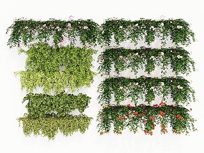 植物组合 爬藤爬墙绿植 蔷薇花月季绿篱 常春藤牡丹芍药