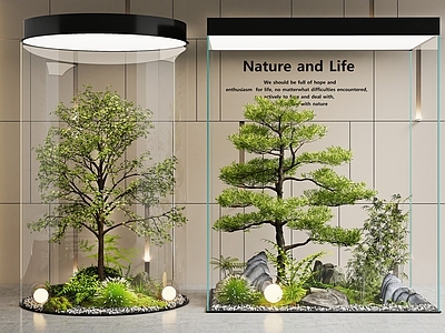 新中式花境 室内景观 景观造景 景观树 植物景观