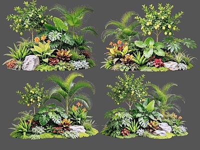 现代主义花境 2D植物组合 热带植物组团 花卉花镜 花草镜植物组合 花草花丛