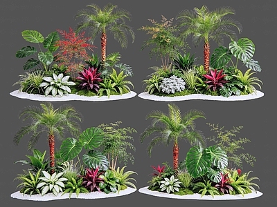 现代主义花境 2D植物组合 花卉花镜 花草镜植物组合 花草花丛 热带植物组团