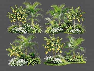 现代主义花境 2D植物组合 热带植物组团 花卉花镜 花草镜植物组合 花草花丛
