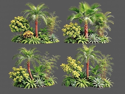 现代主义花境 2D植物组合 热带植物组团 花卉花镜 花草镜植物组合 花草花丛