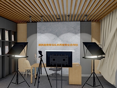 原木风直播间 现代风格直播间 工作室 直播设备