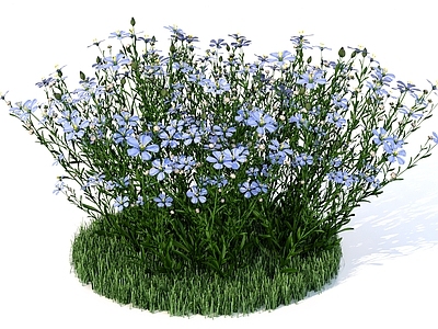 极简花草组合