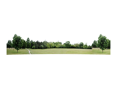 现代主义乔木 外景