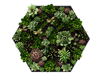 现代绿植墙 植生墙 绿墙