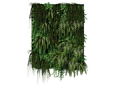 现代绿植墙 植生墙 绿墙