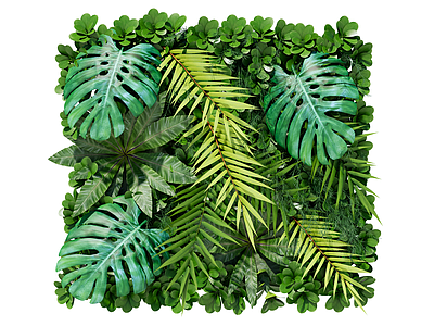 绿植墙 植生墙 绿墙