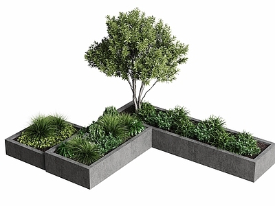 现代主义植物组合 现代植物组合 景观绿植 绿植池 景观树木