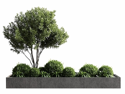 现代简约植物组合 现代景观绿植 绿植池 绿植组合 景观绿植树