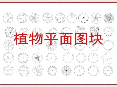 绿植