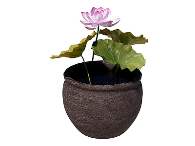 新中式水生植物 水缸 园林景观 陈设饰品 装饰摆件