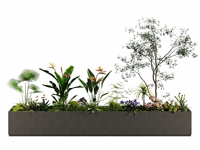 现代花草组合 花箱 植物堆 植物景观