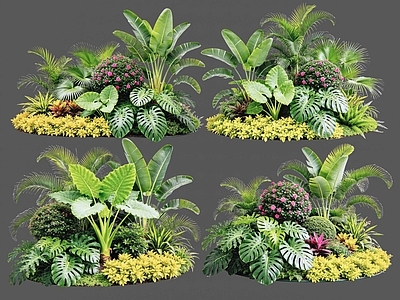 现代主义花境 2D植物组合 花卉花镜 花草镜植物组合 花草花丛 热带植物组团