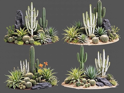 现代主义沙漠植物 2D仙人掌 多肉植物 仙人球 沙漠植物造景 景观植物