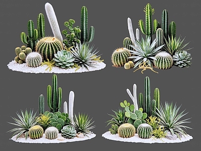 现代沙漠植物 2D仙人掌 多肉植物 仙人球 沙漠植物造景 景观植物