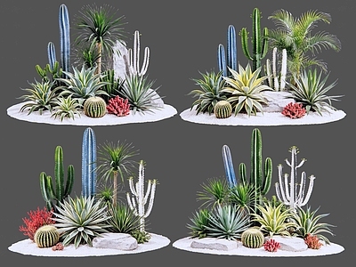 现代主义沙漠植物 2D仙人掌 多肉植物 仙人球 沙漠植物造景 景观植物