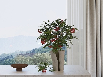 侘寂绿植摆件 红果植物 陶瓷花瓶 窗台摆件 室内绿植 装饰花艺
