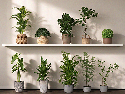 现代简约植物组合